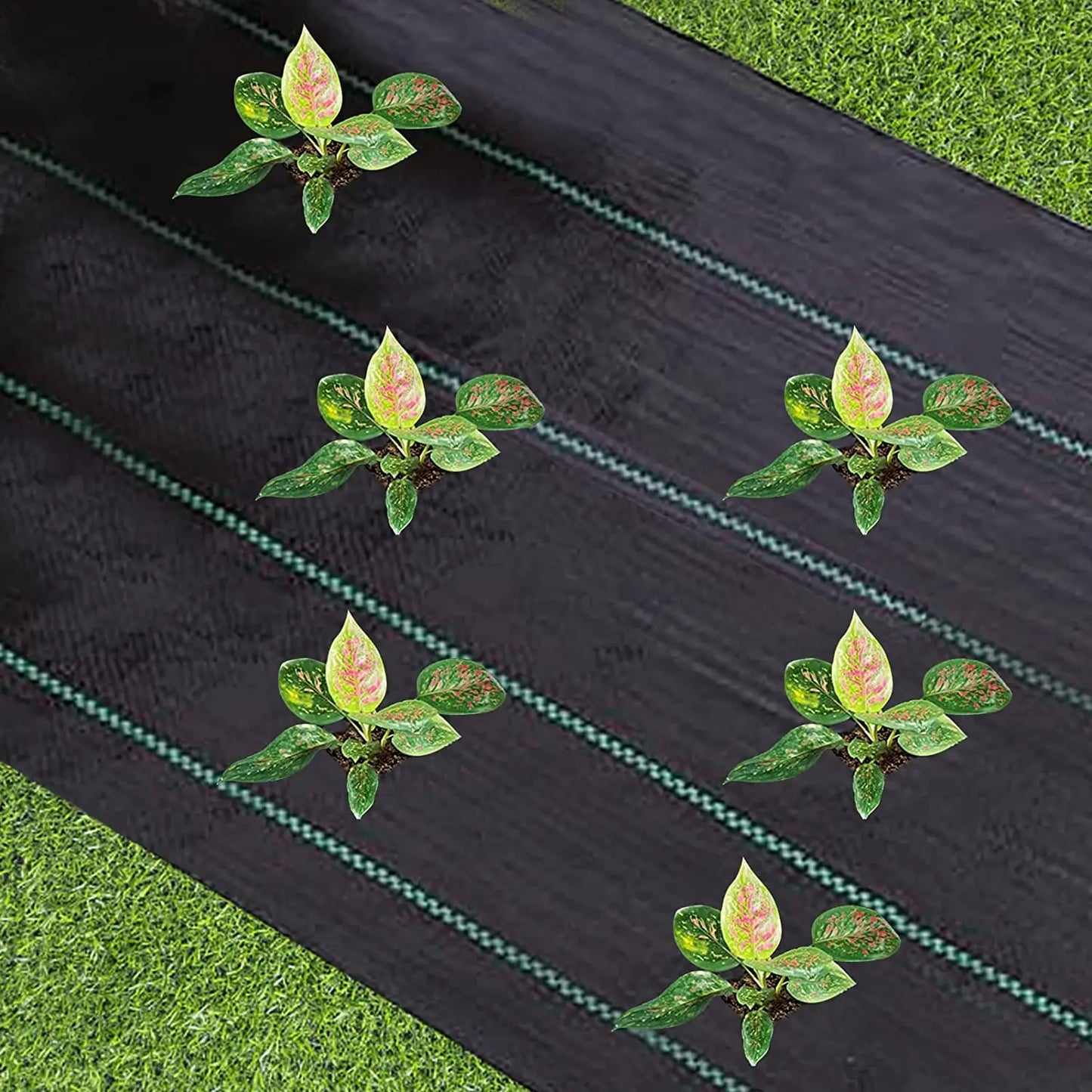 Garden Landscape Fabric Weed Barrier